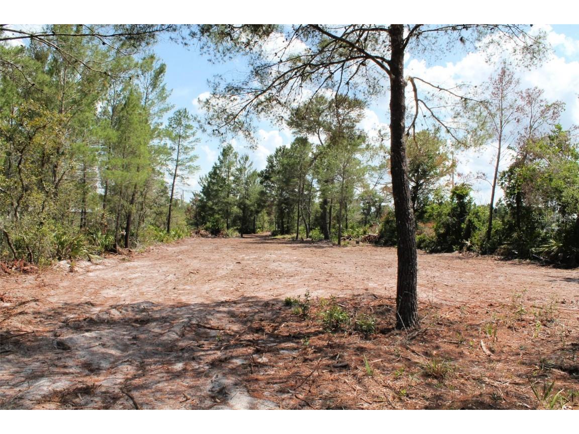 Camp Mack Road Lake Wales FL 33898 P4925529 image1