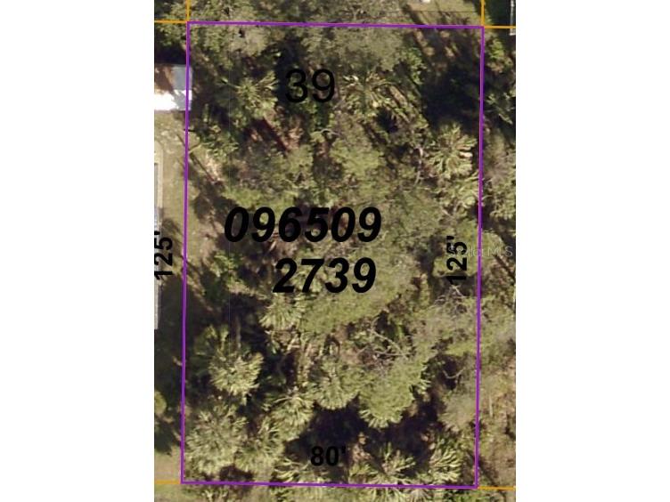 Candia Avenue North Port FL 34286 C7488666 image1