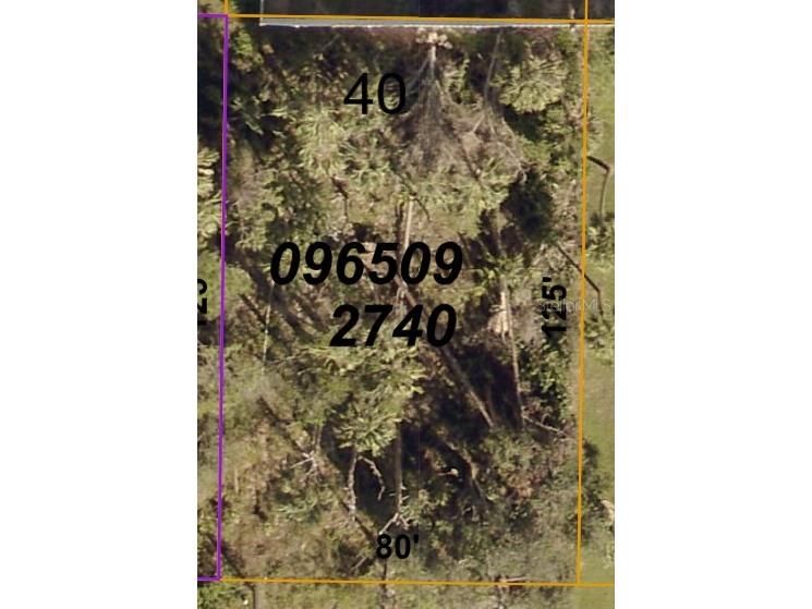 Candia Avenue North Port FL 34286 C7488668 image1