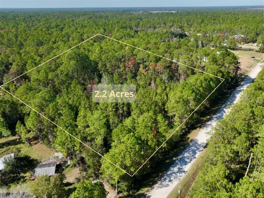 Candleberry Street Bunnell FL 32110 O6361182 image2