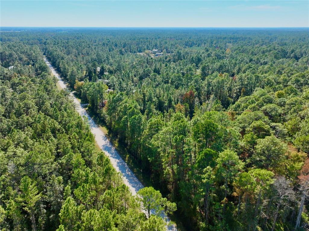 Candleberry Street Bunnell FL 32110 O6361182 image5