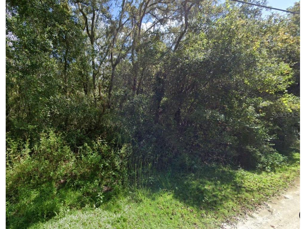 Canella St New Port Richey FL 34654 T3509164 image1