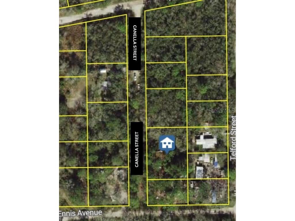 Canella Street New Port Richey FL 34654 W7871822 image1