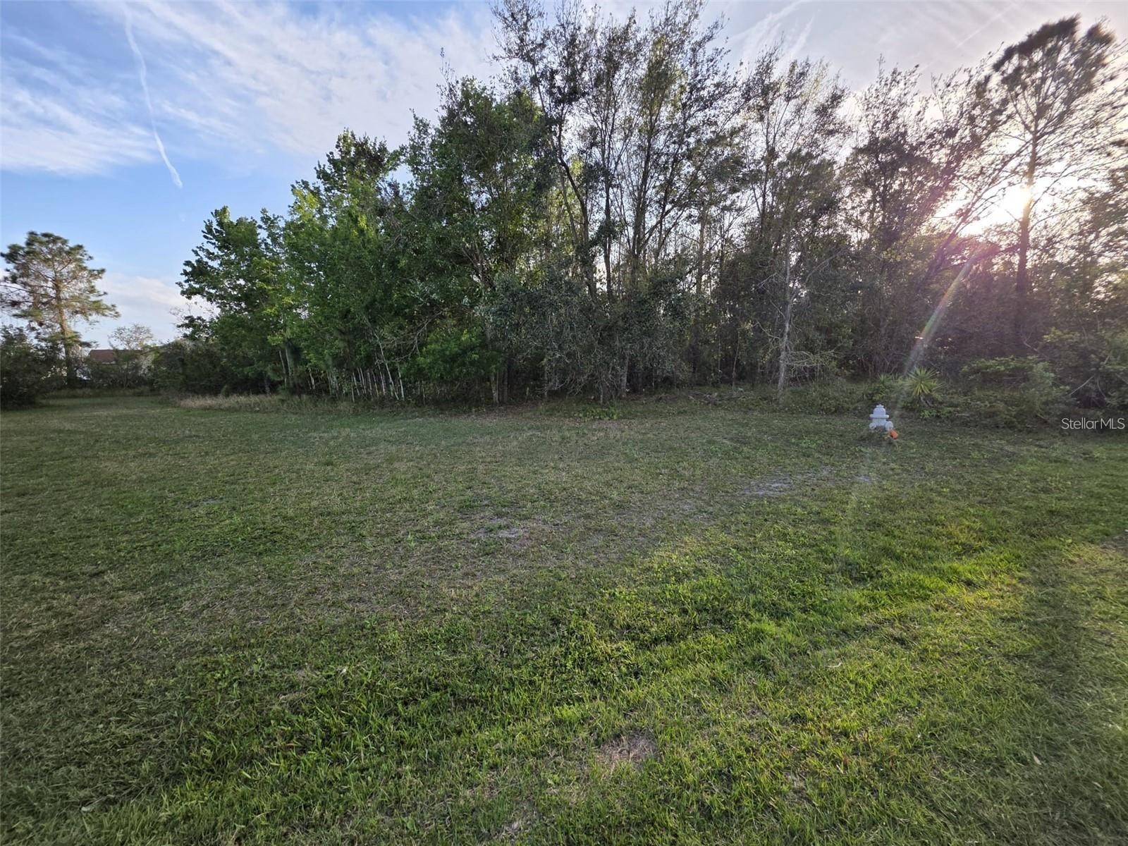 Cannock Drive Kissimmee FL 34758 O6399750 image7