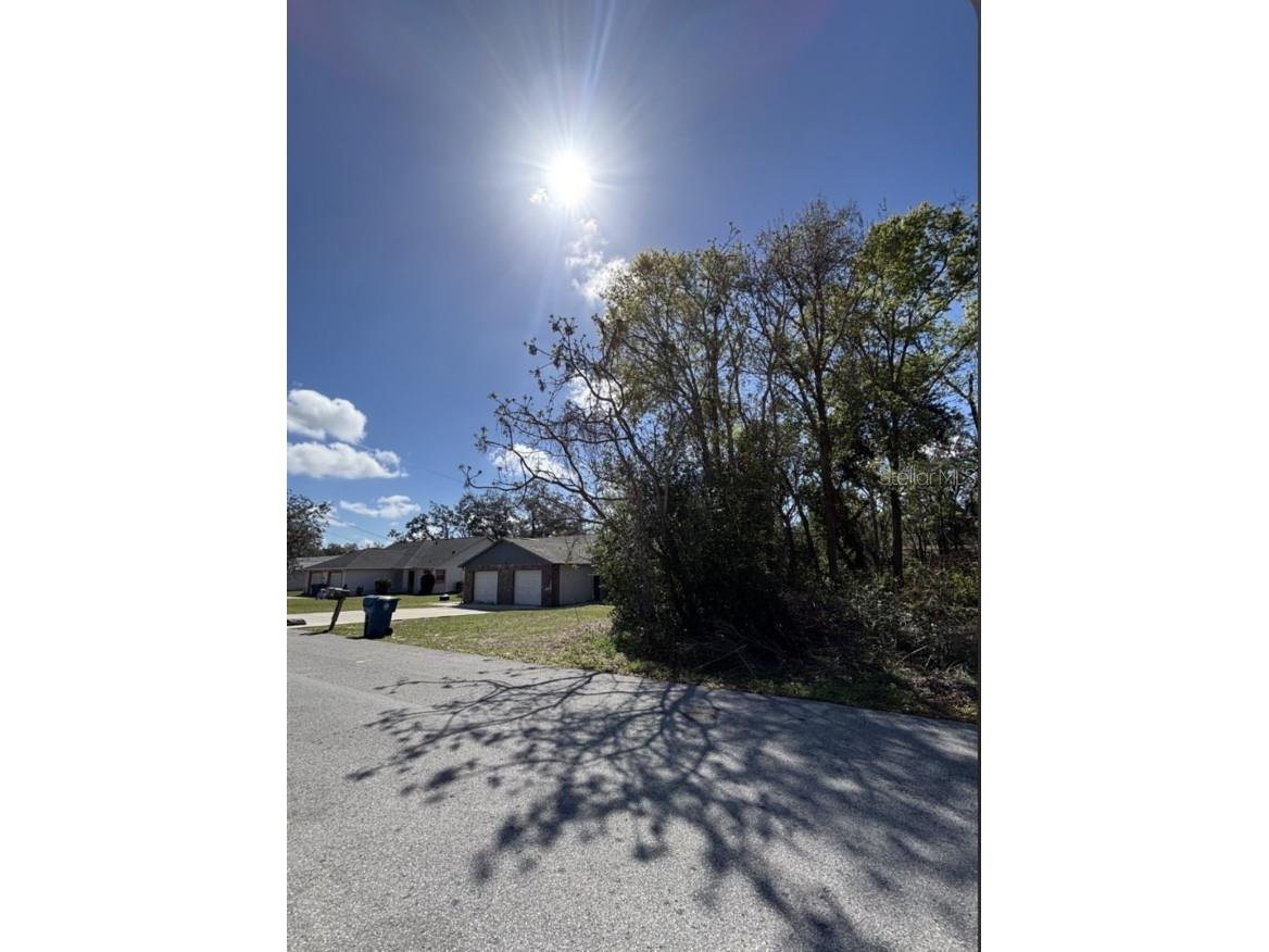 Canterbury Street Spring Hill FL 34606 TB8482505 image1
