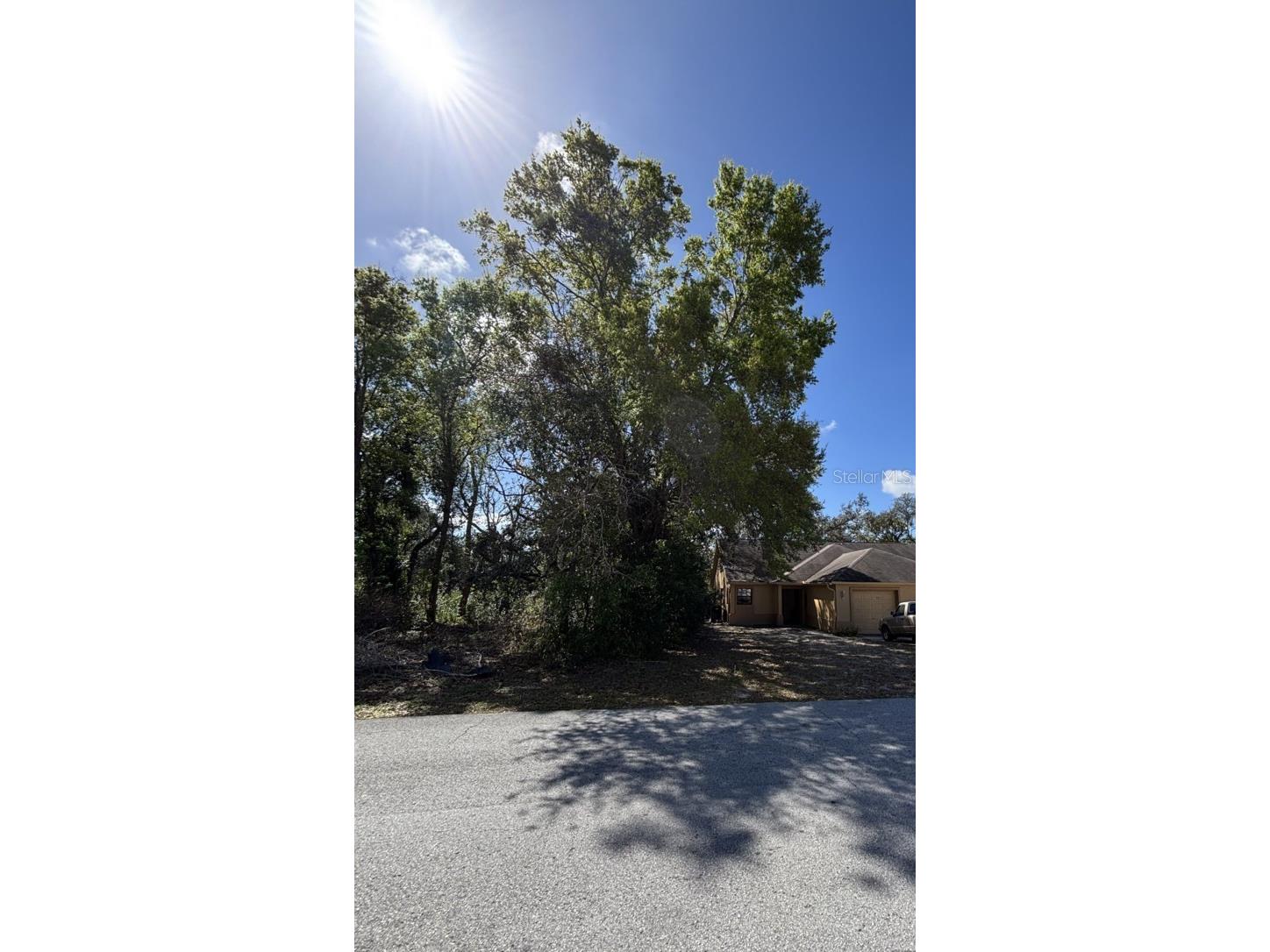 Canterbury Street Spring Hill FL 34606 TB8482505 image2