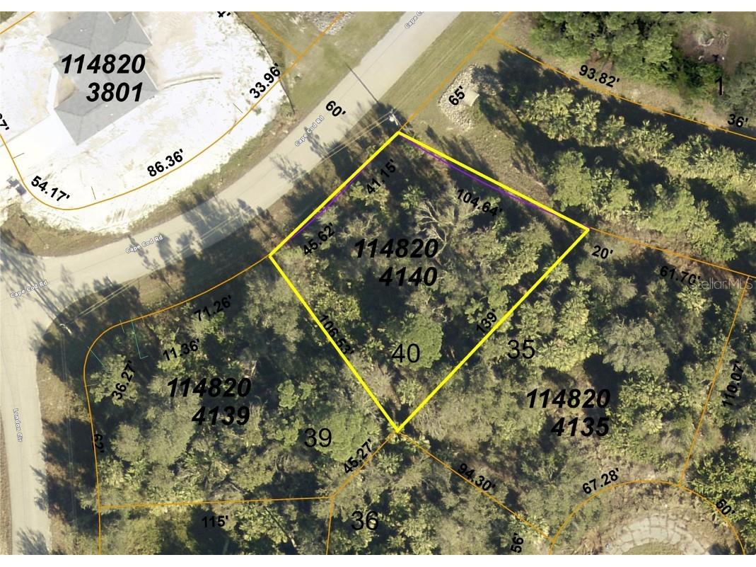 Cape Cod (Lot 40) Road North Port FL 34288 D6136668 image1