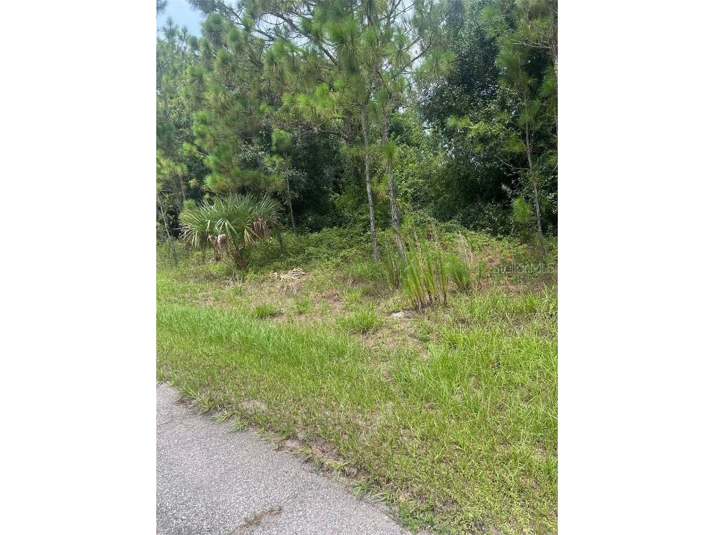 Caper Circle North Port FL 34288 N6134076 image1