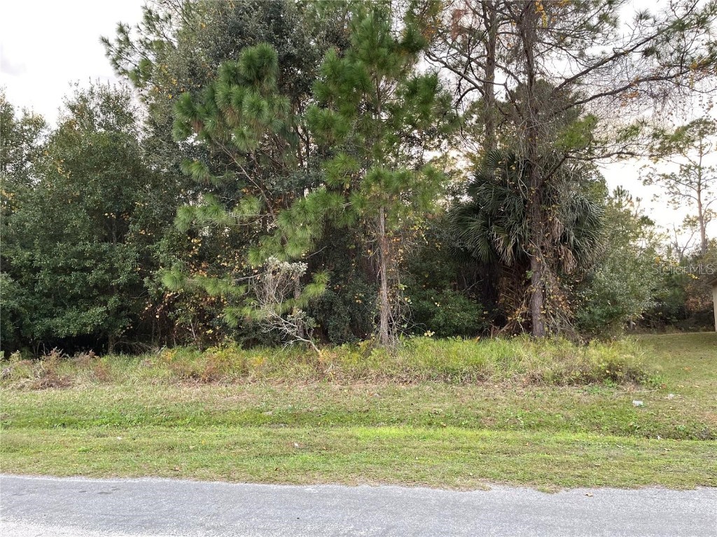 Cardiff Drive Kissimmee FL 34758 S5080558 image1