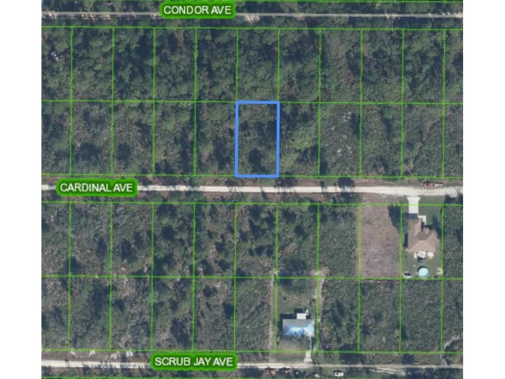 Cardinal Ave Sebring FL 33870 TB8379699 image1