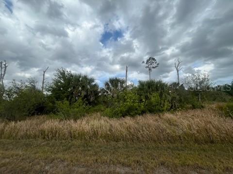Cardon Street North Port FL 34288 OK224994 image1