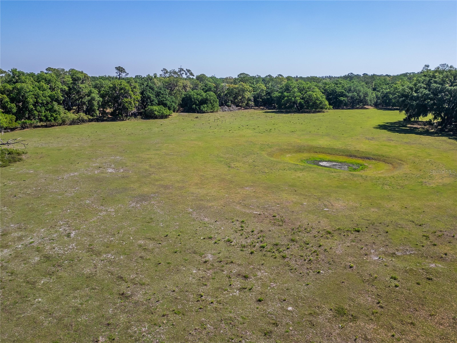 Carlton Road Plant City FL 33565 TB8491913 image14