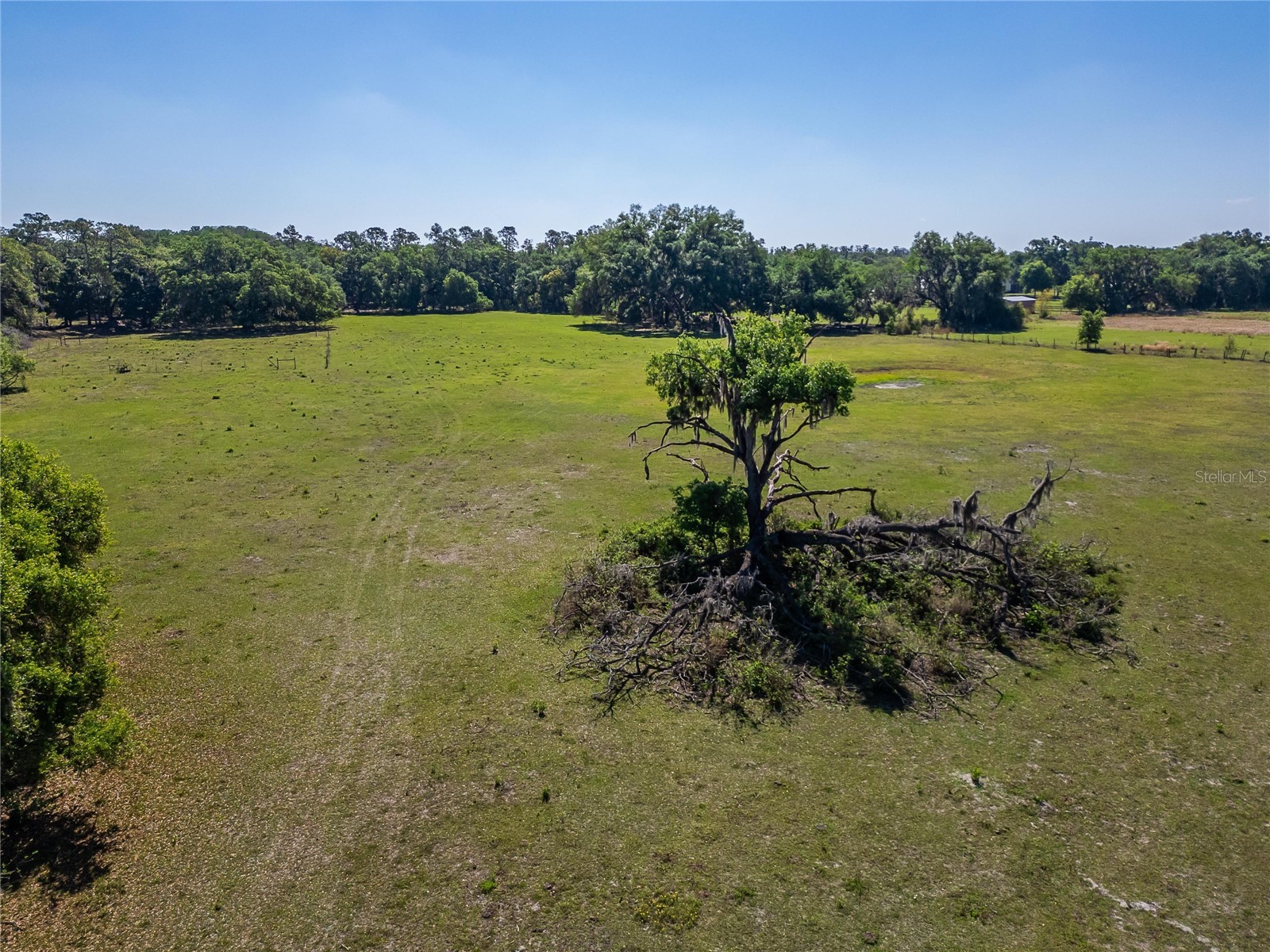 Carlton Road Plant City FL 33565 TB8491913 image15