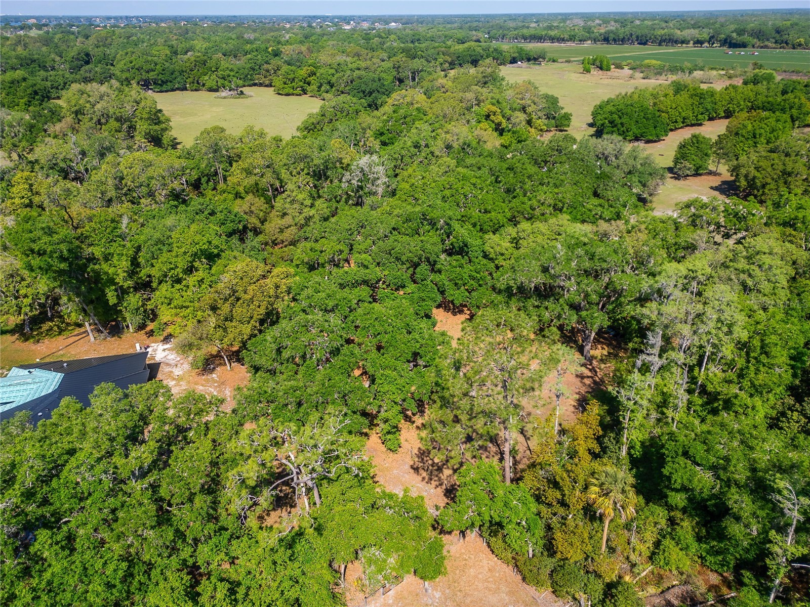 Carlton Road Plant City FL 33565 TB8491913 image21