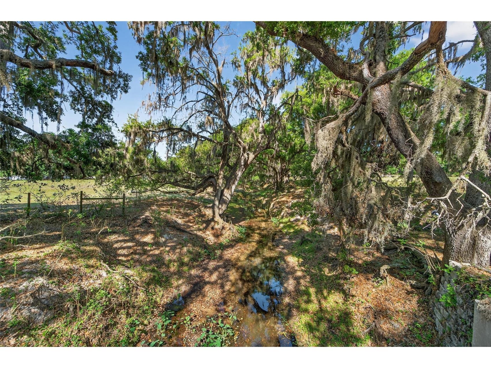 Carlton Road Plant City FL 33565 TB8491913 image27