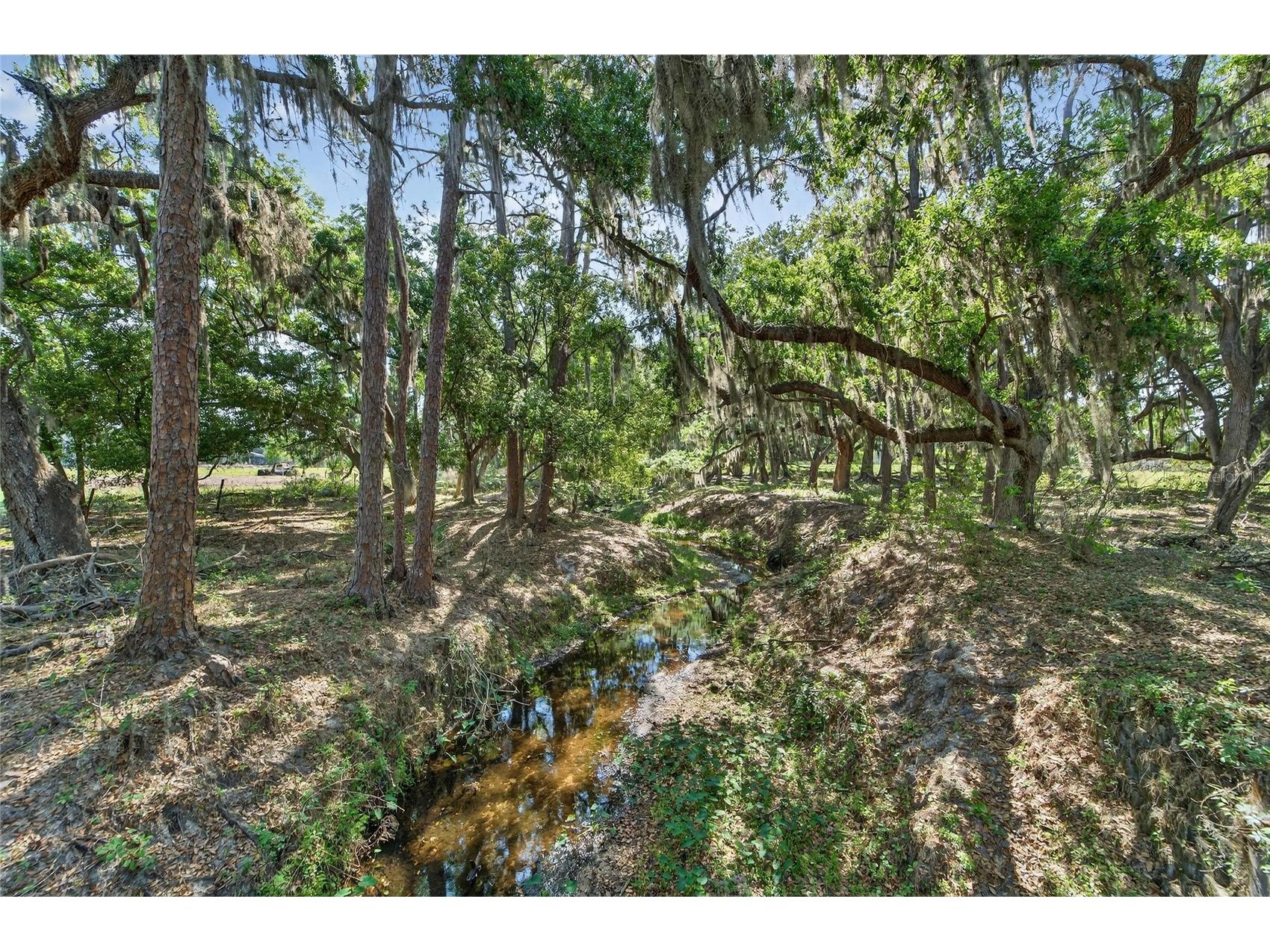 Carlton Road Plant City FL 33565 TB8491913 image28