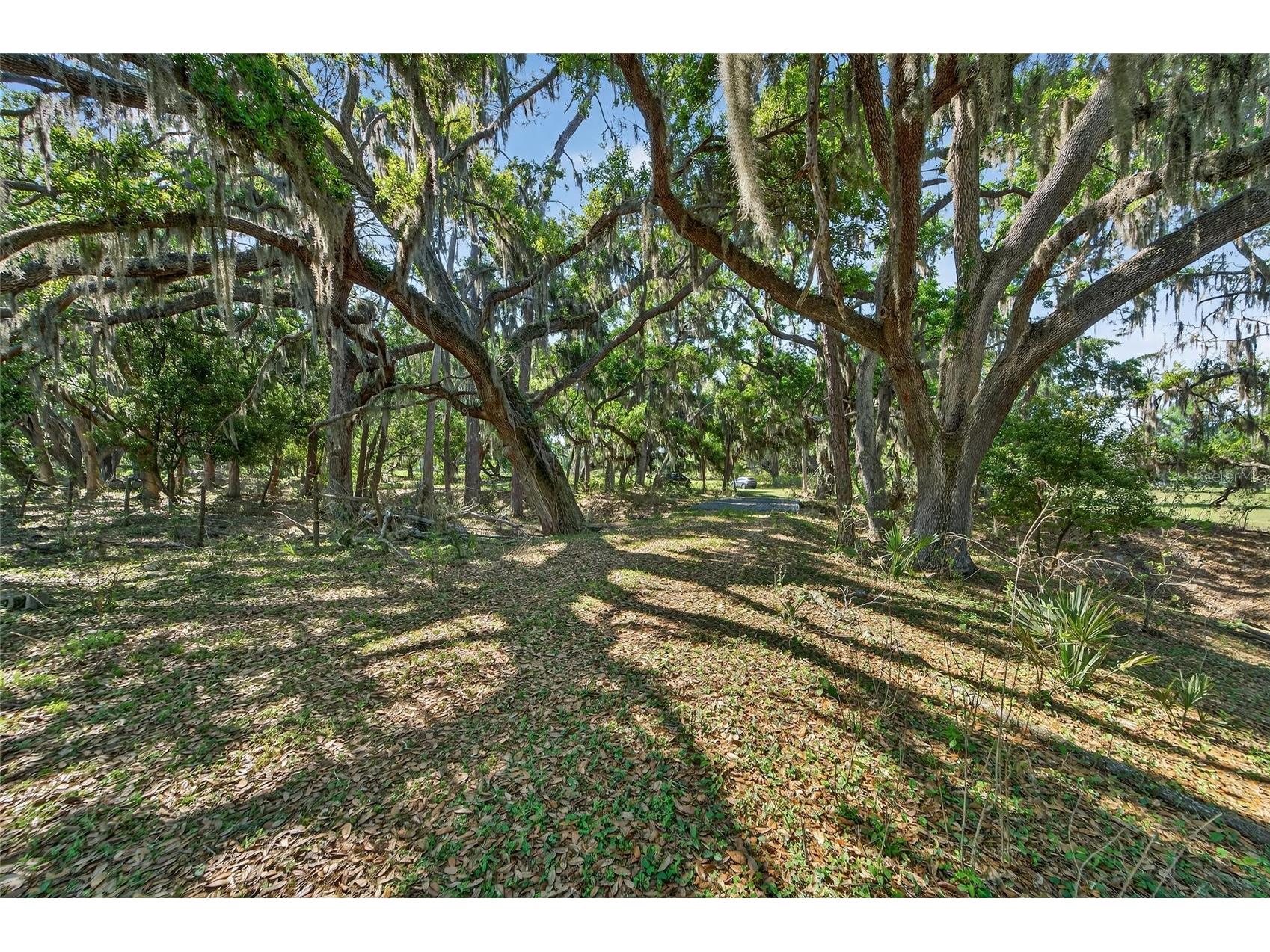 Carlton Road Plant City FL 33565 TB8491913 image29