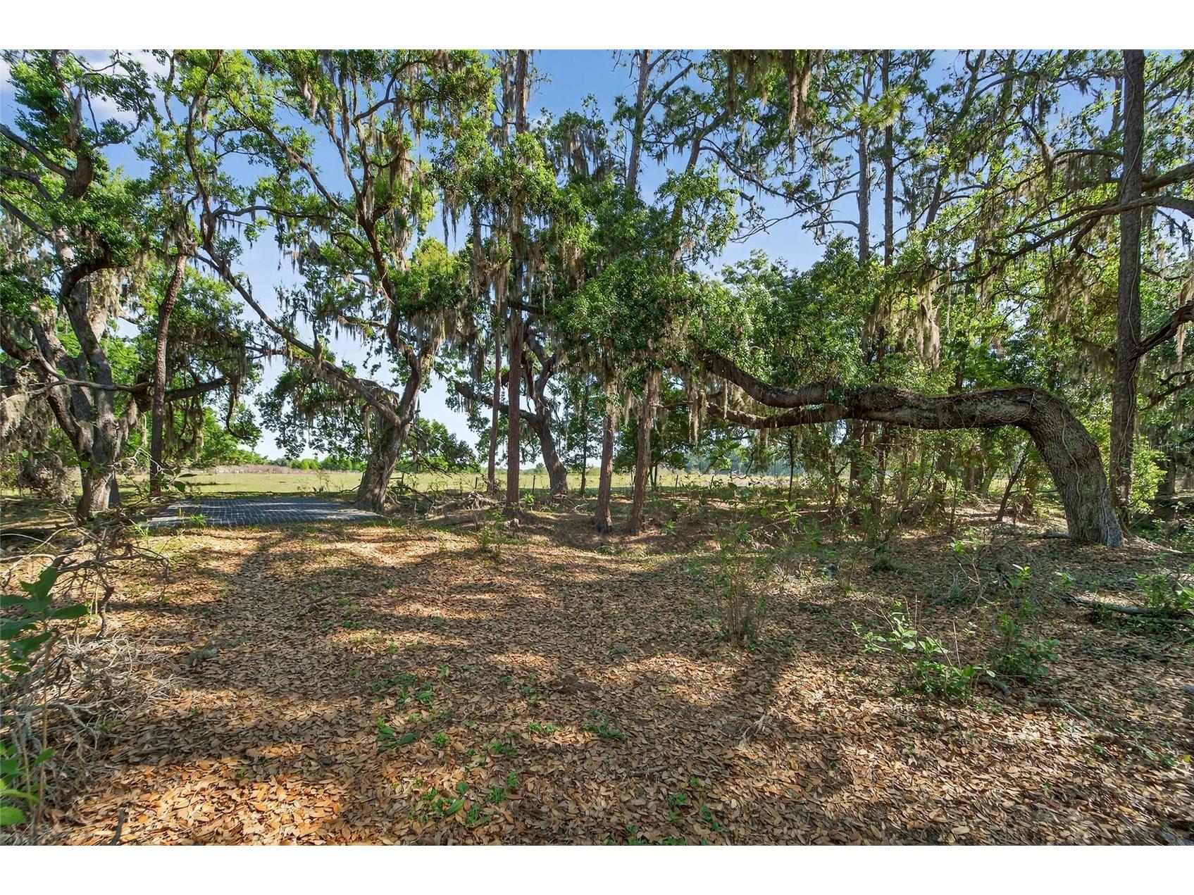 Carlton Road Plant City FL 33565 TB8491913 image30