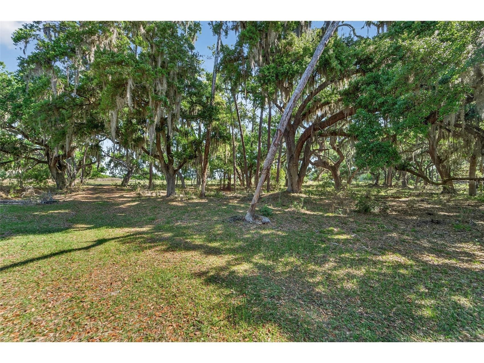 Carlton Road Plant City FL 33565 TB8491913 image31