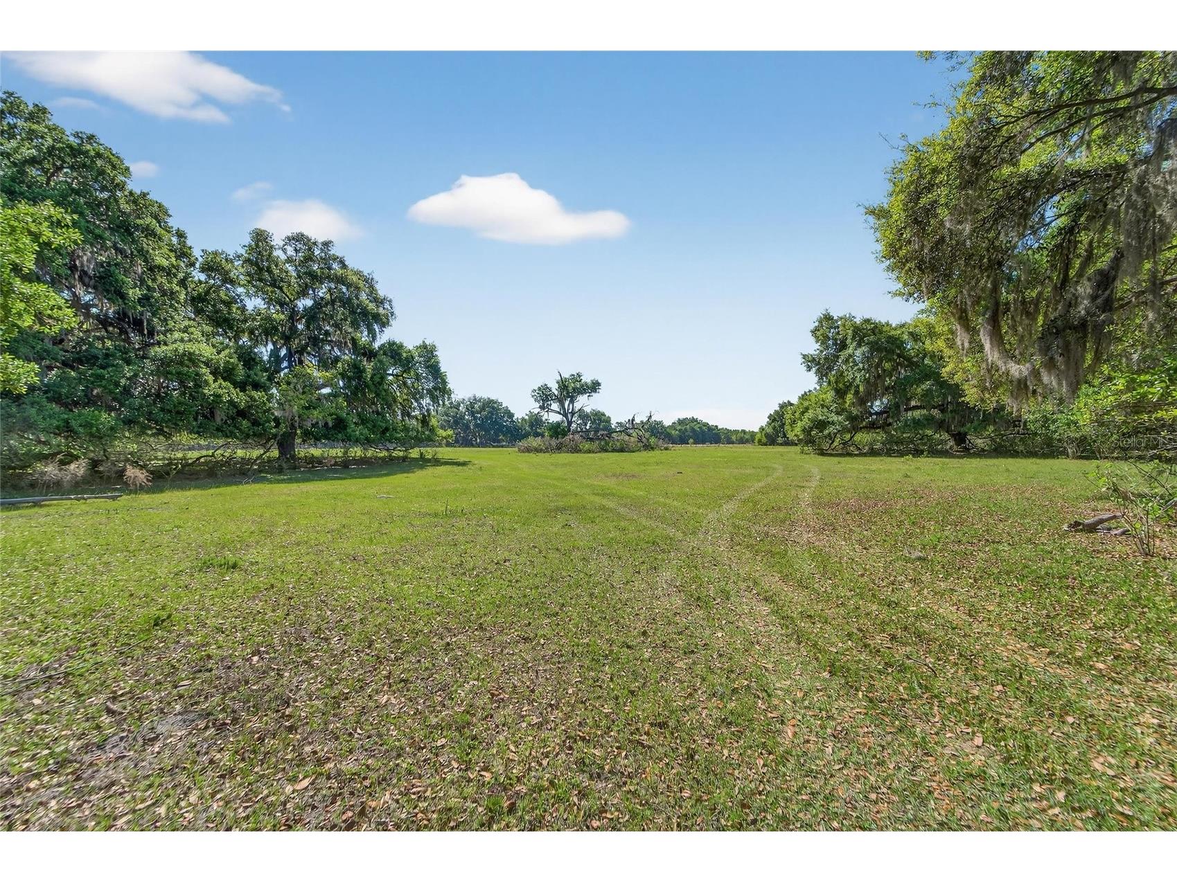 Carlton Road Plant City FL 33565 TB8491913 image32
