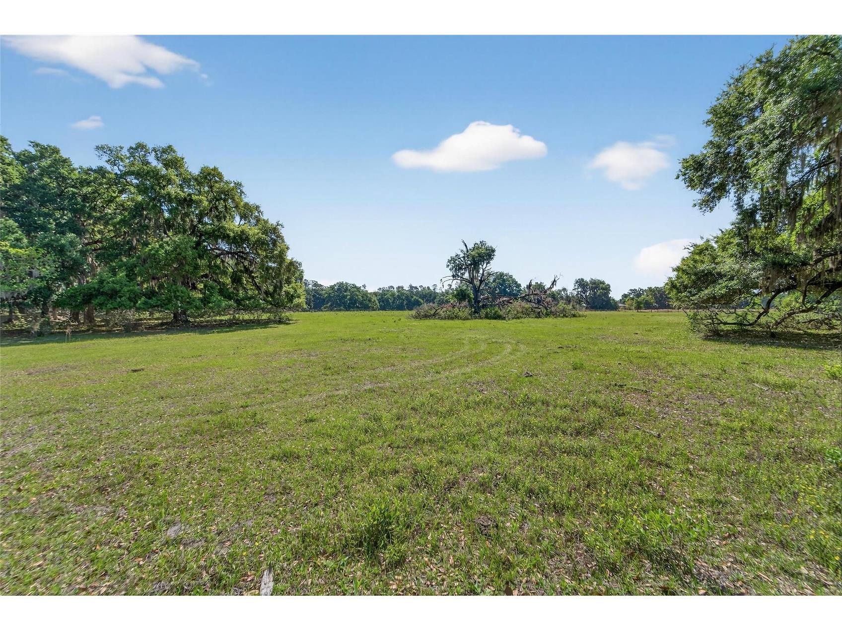 Carlton Road Plant City FL 33565 TB8491913 image33