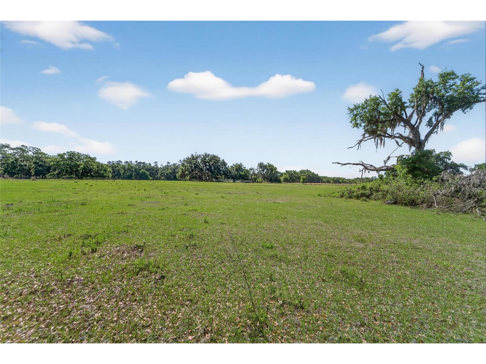 Carlton Road Plant City FL 33565 TB8491913 image34