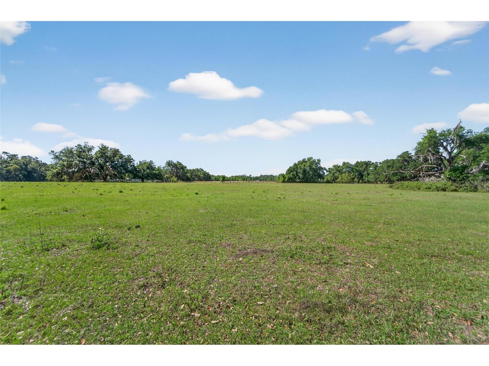 Carlton Road Plant City FL 33565 TB8491913 image35