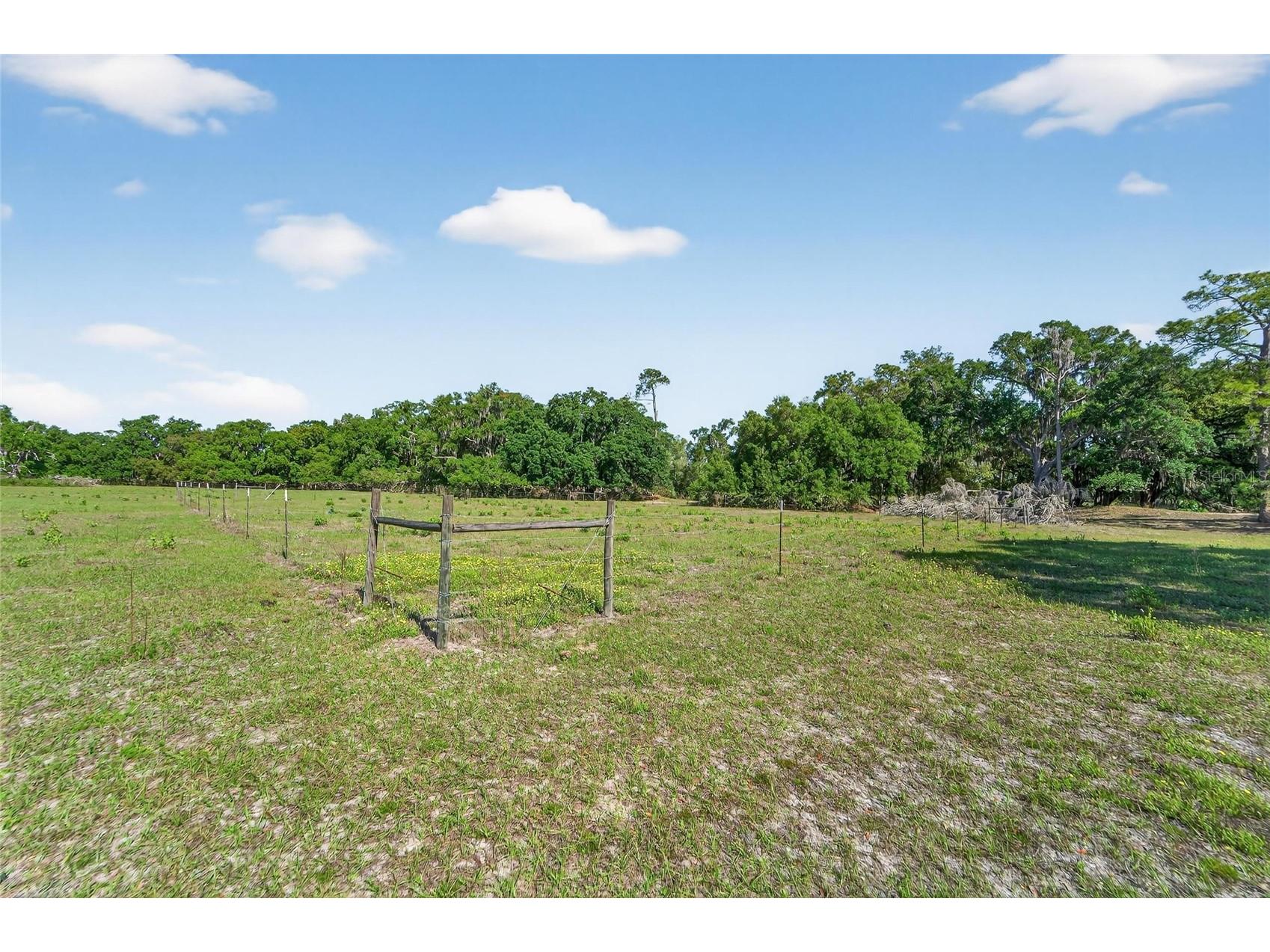 Carlton Road Plant City FL 33565 TB8491913 image40