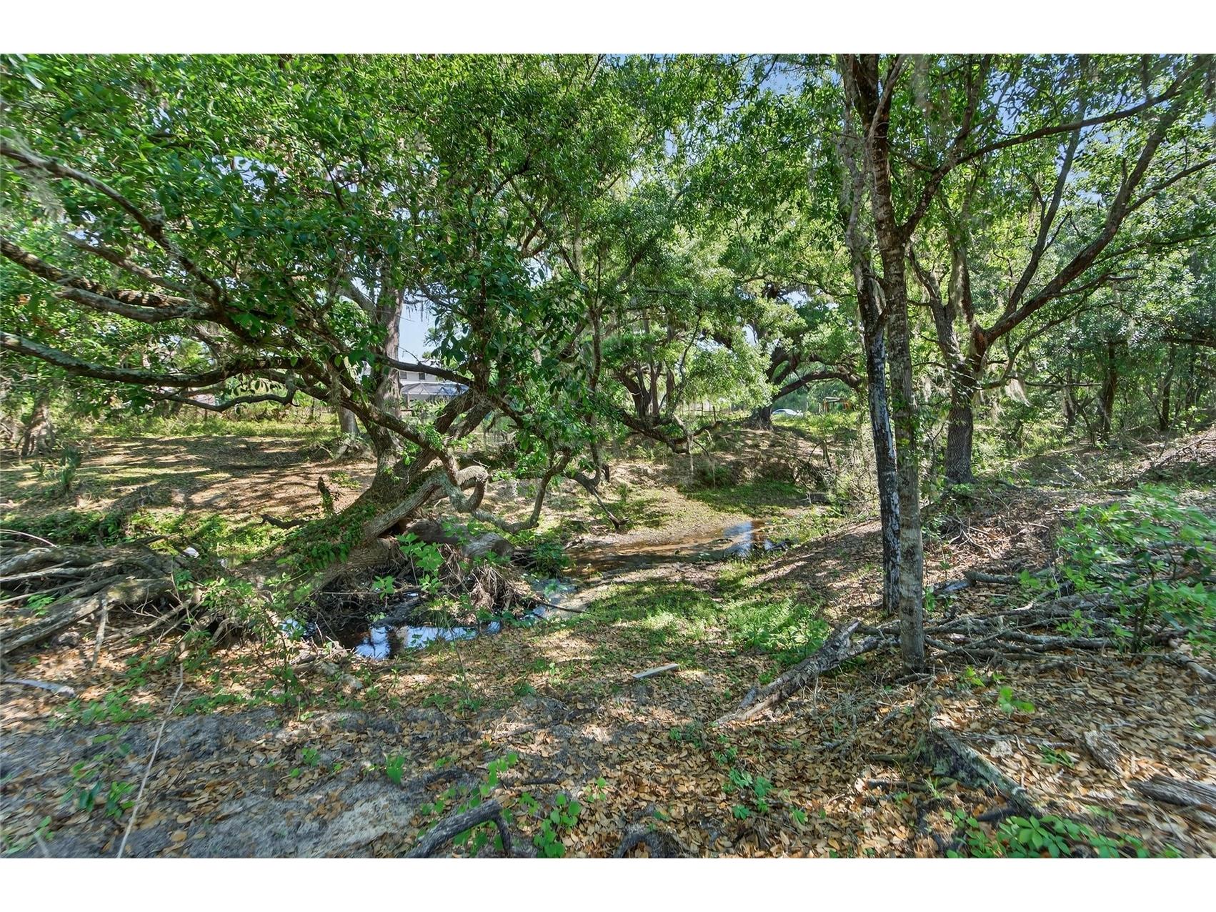 Carlton Road Plant City FL 33565 TB8491913 image45