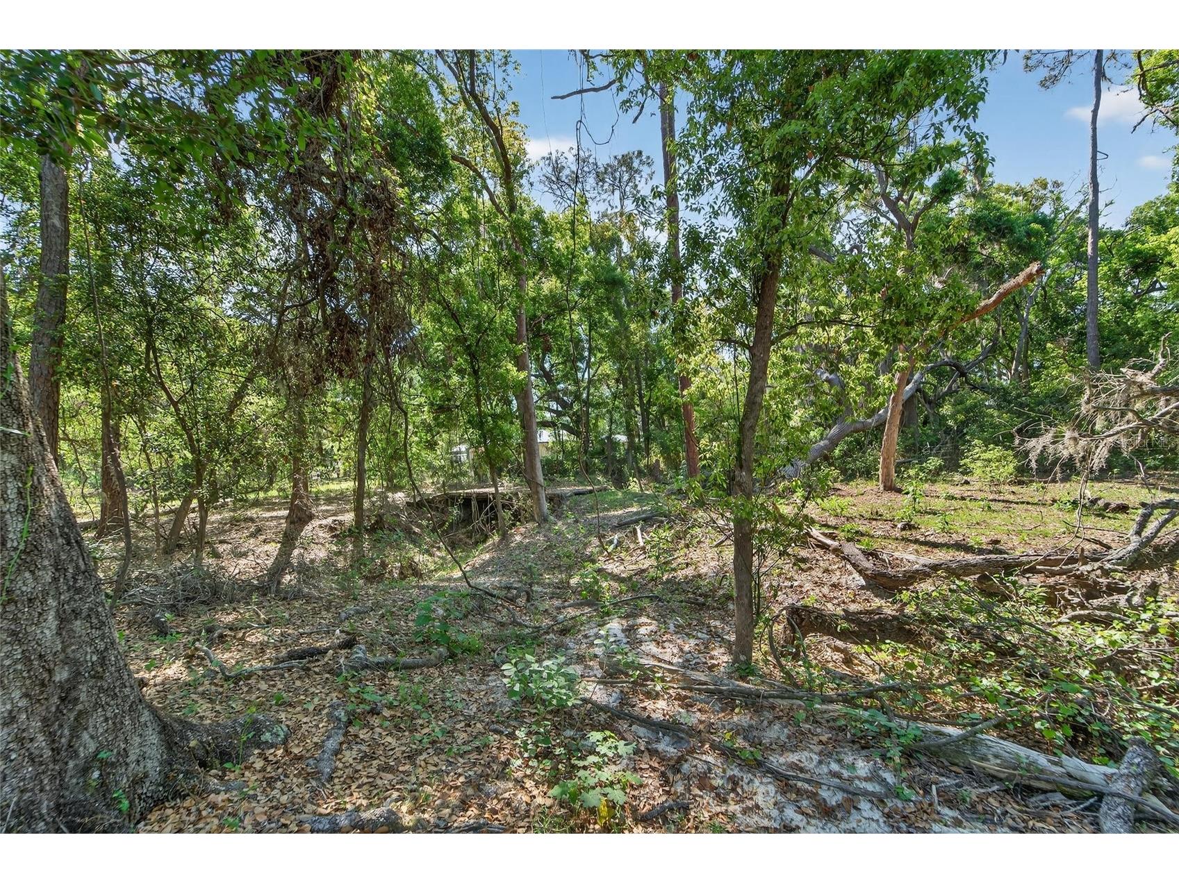 Carlton Road Plant City FL 33565 TB8491913 image46