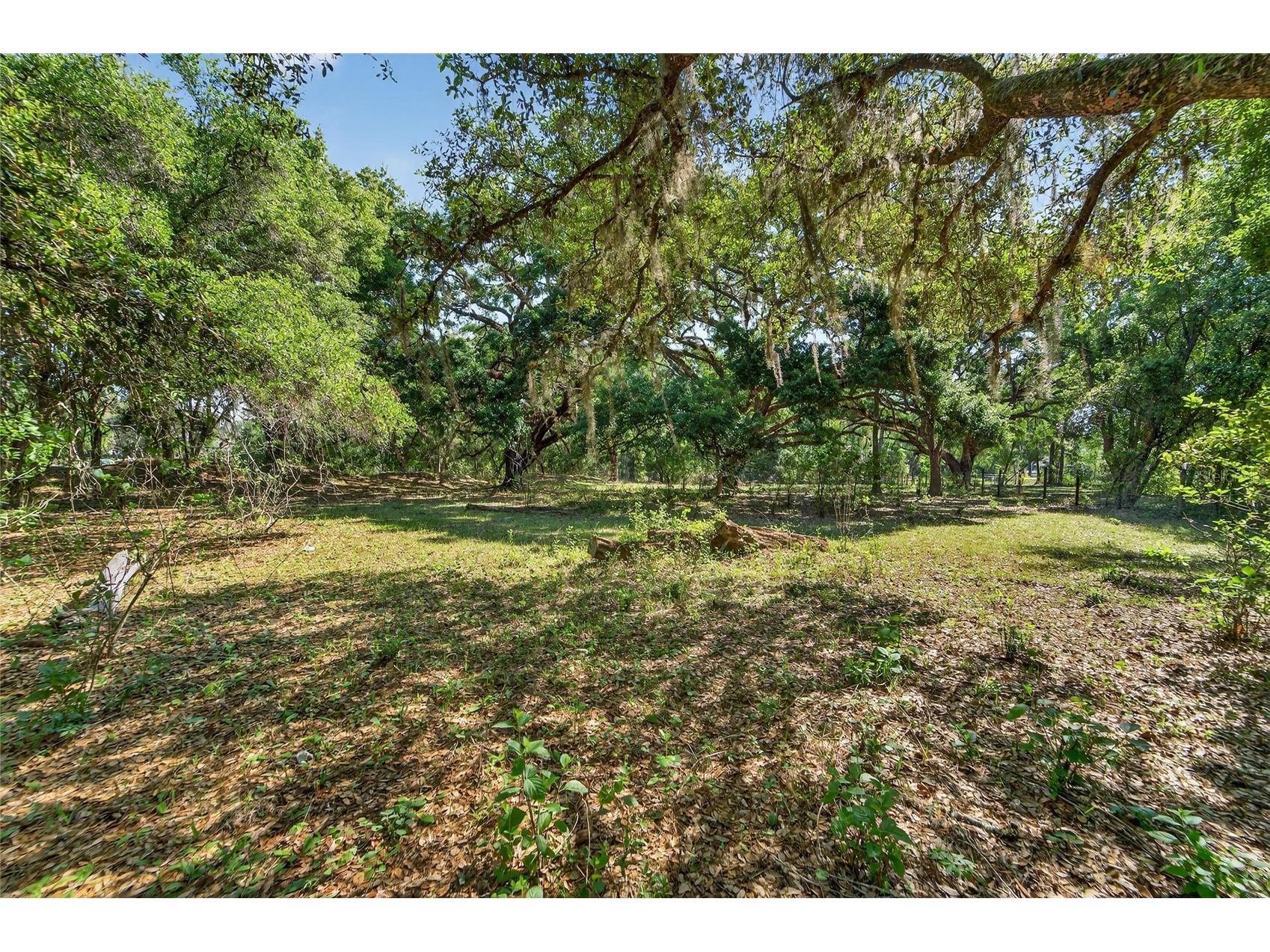 Carlton Road Plant City FL 33565 TB8491913 image53