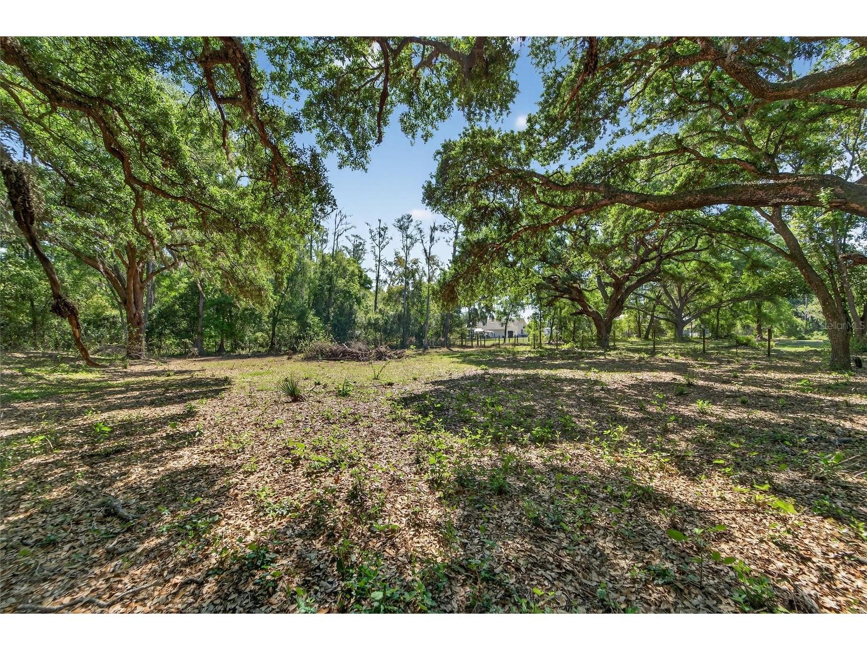 Carlton Road Plant City FL 33565 TB8491913 image54