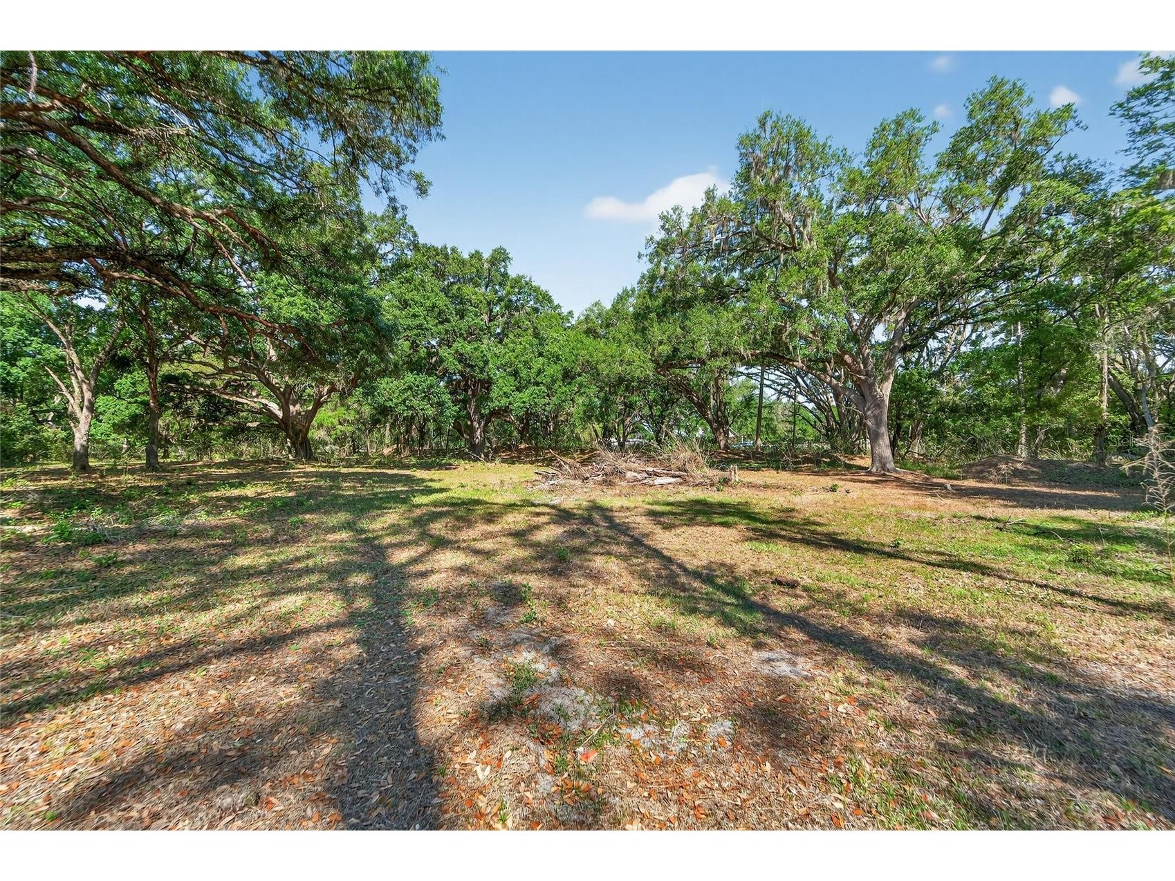 Carlton Road Plant City FL 33565 TB8491913 image55