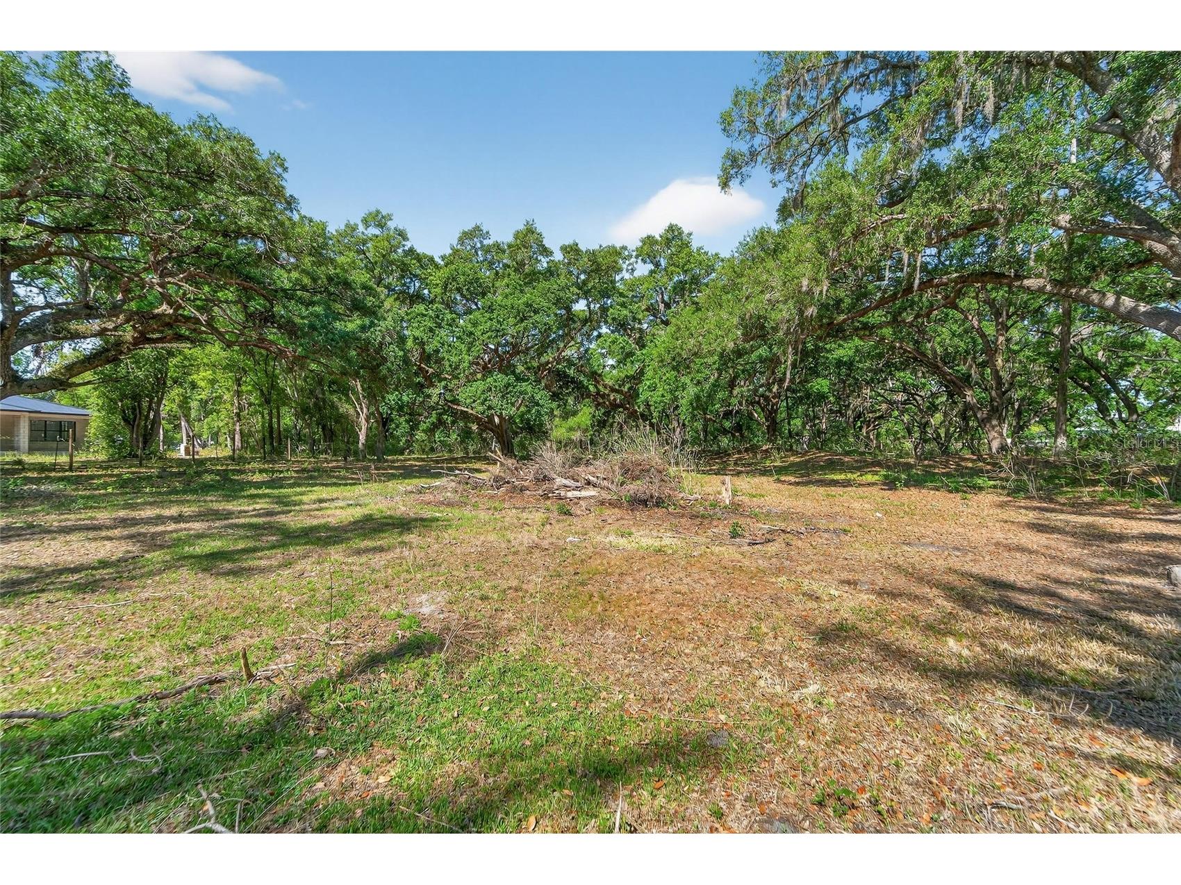 Carlton Road Plant City FL 33565 TB8491913 image56