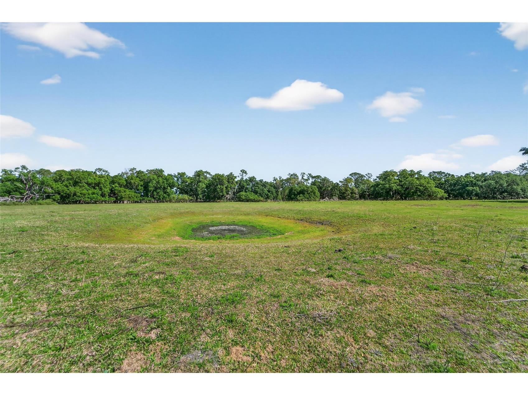 Carlton Road Plant City FL 33565 TB8491913 image58