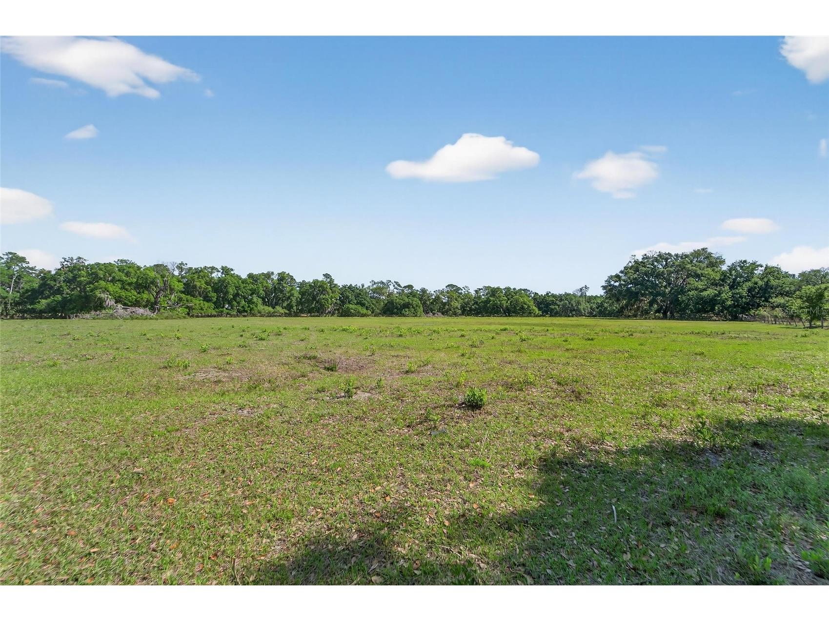 Carlton Road Plant City FL 33565 TB8491913 image59