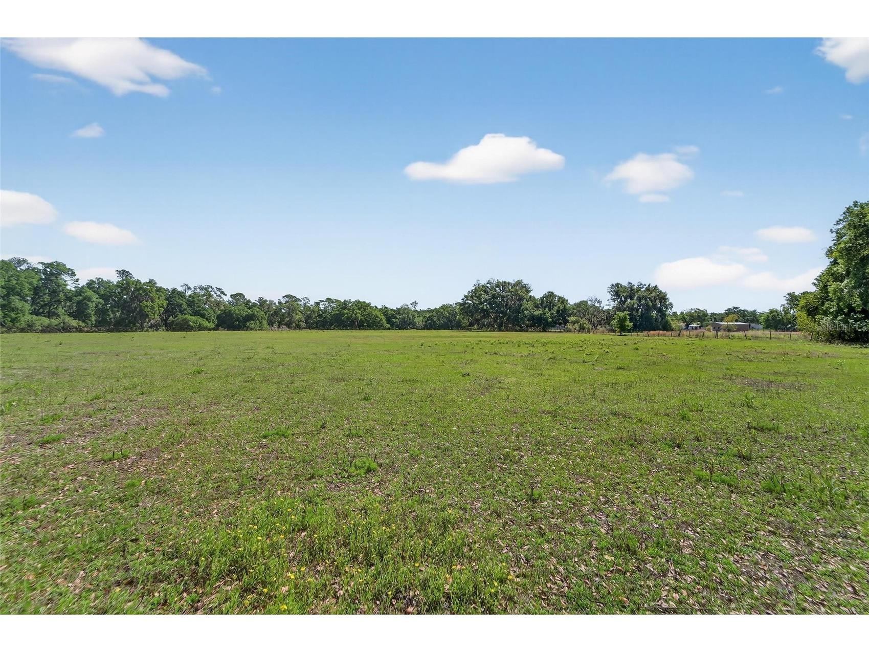 Carlton Road Plant City FL 33565 TB8491913 image60