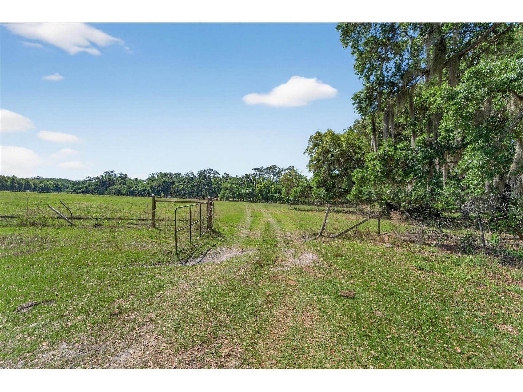Carlton Road Plant City FL 33565 TB8491913 image61