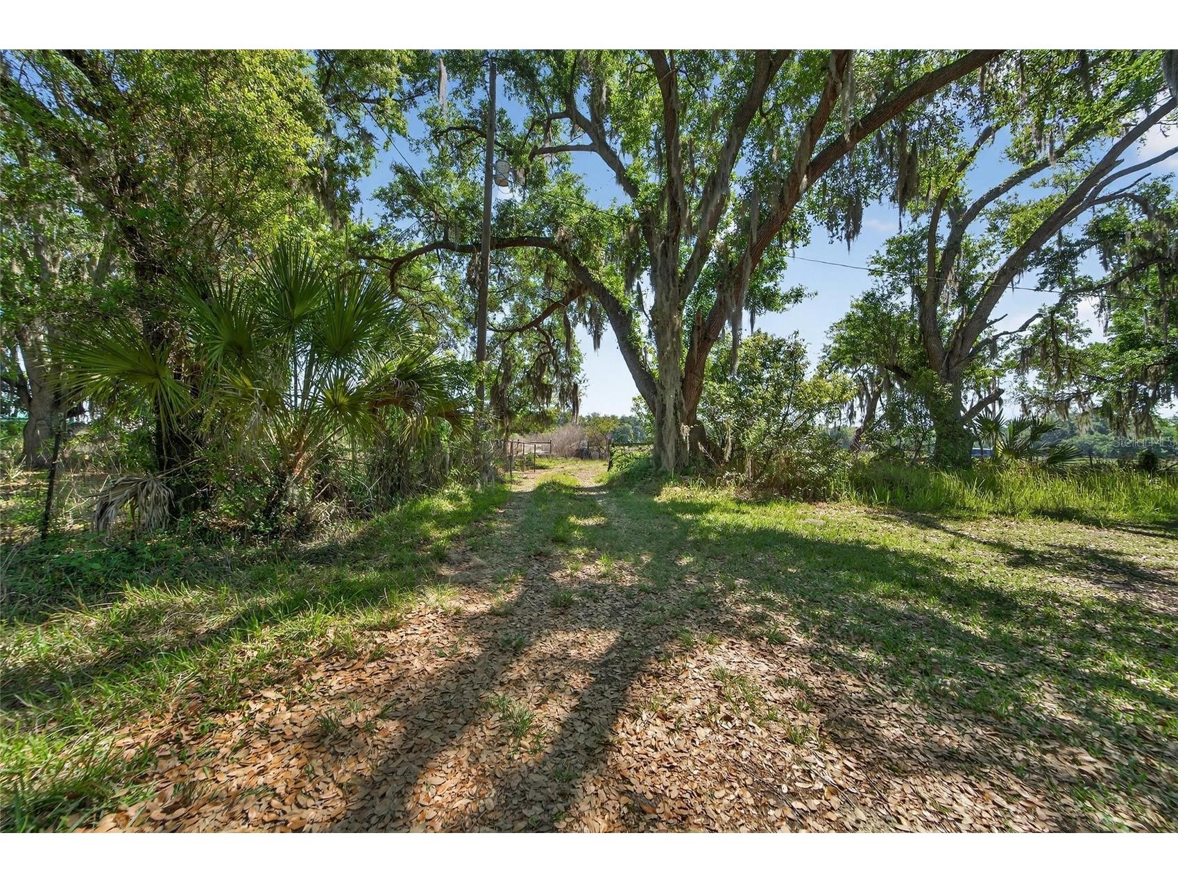 Carlton Road Plant City FL 33565 TB8491913 image62