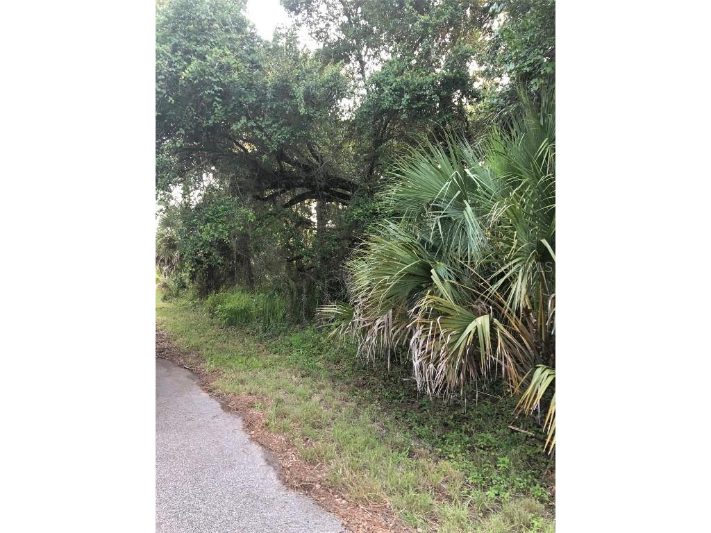 Carmelia Street North Port FL 34288 C7494368 image2