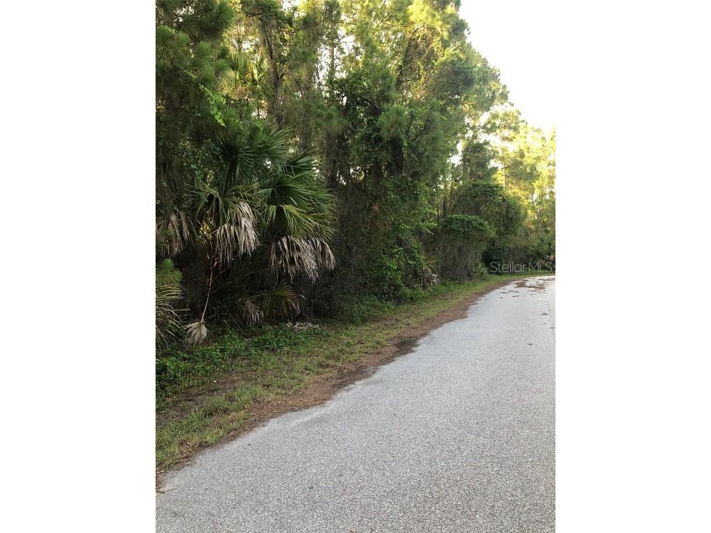 Carmelia Street North Port FL 34288 C7494368 image3