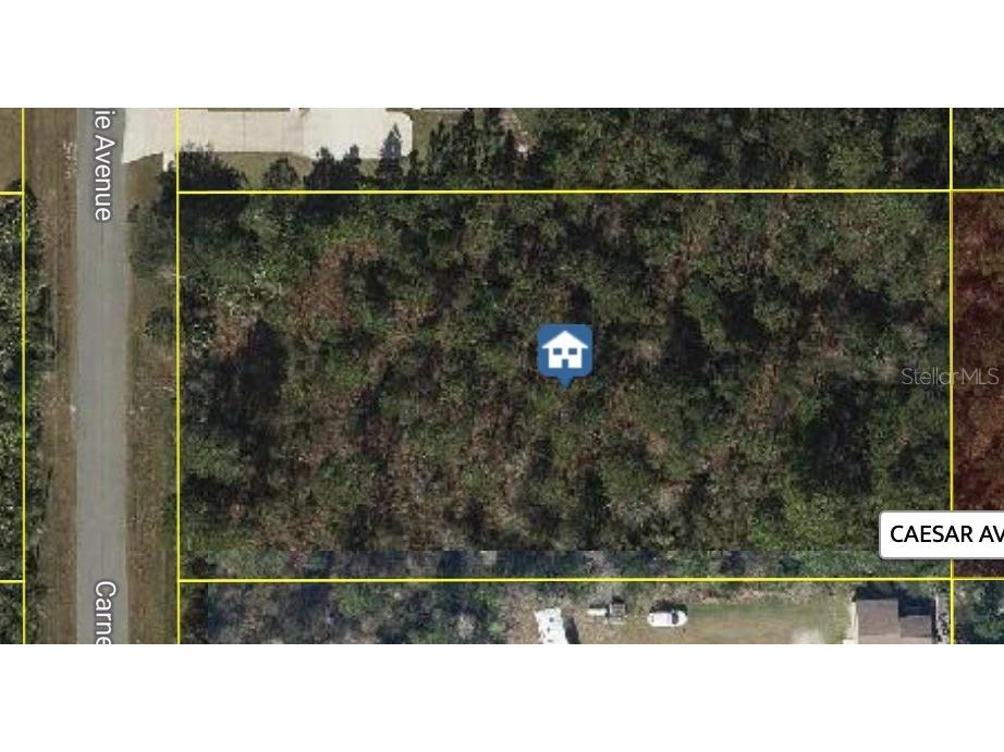 Carnegie Avenue Orlando FL 32833 O6314284 image1