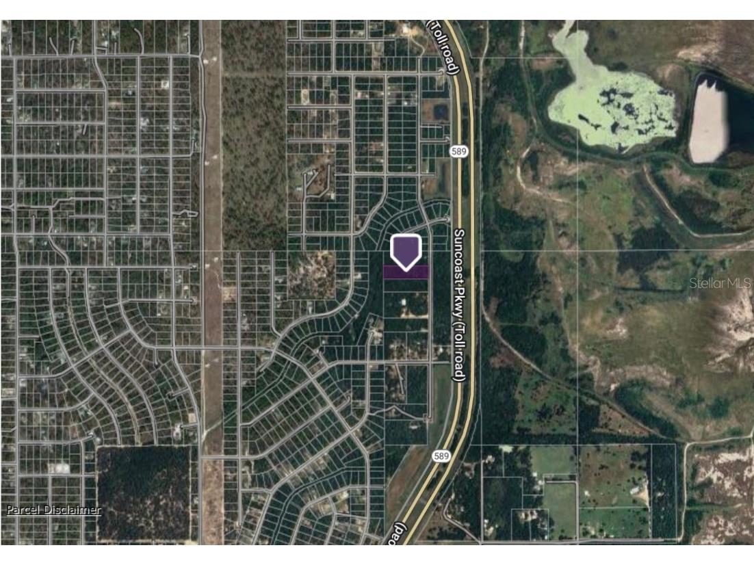 Carolina Dove Road Weeki Wachee FL 34614 TB8320324 image1