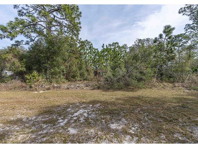 Carolina Street Paisley FL 32767 T3428727 image1