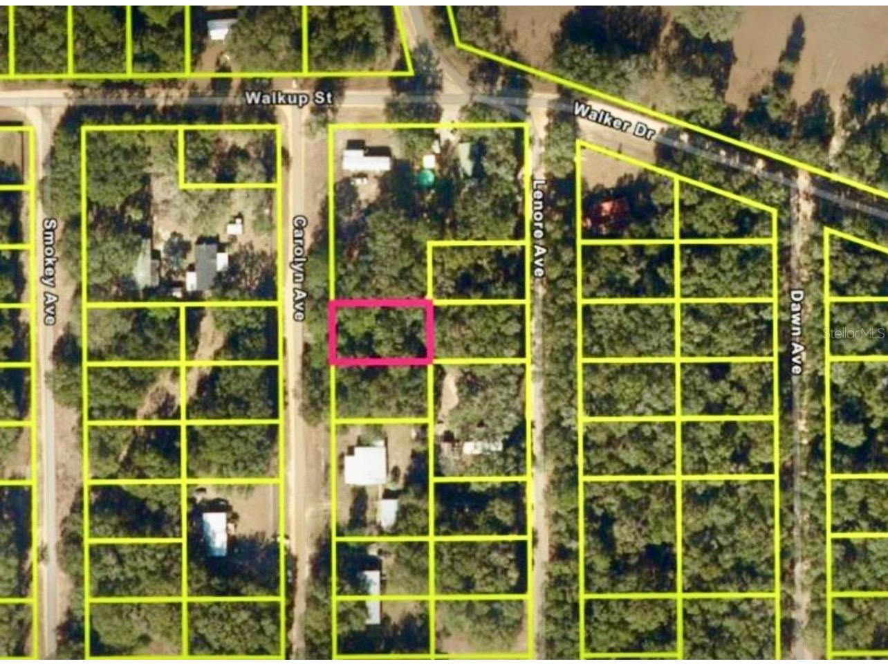 Carolyn Avenue Interlachen FL 32148 O6404947 image1