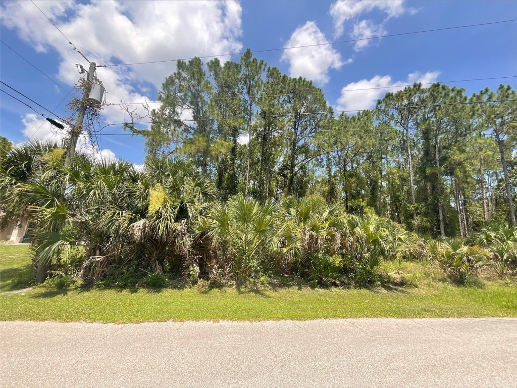 Carrizal Terrace North Port FL 34288 C7462803 image1