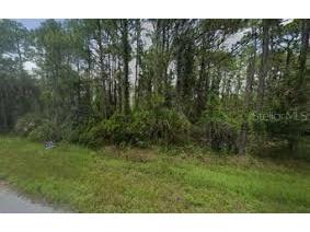 Carson Avenue Babson Park FL 33827 O6203795 image1