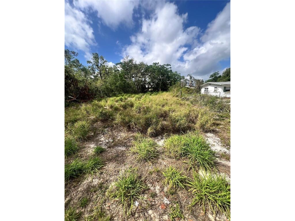 Carson Avenue Babson Park FL 33827 L4951974 image1