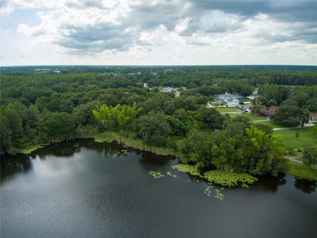 Carson Drive Land O Lakes FL 34639 - LAKE JO ANN U8181541 image11