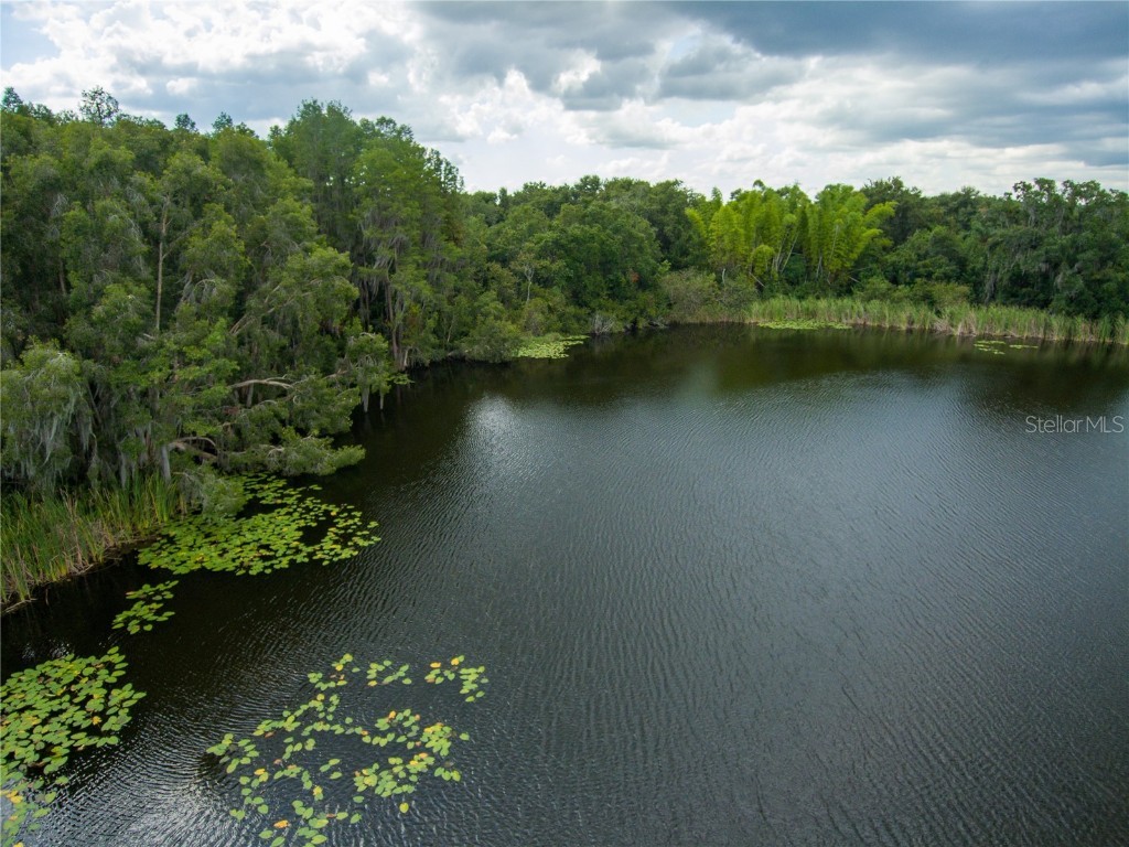 Carson Drive Land O Lakes FL 34639 - LAKE JO ANN U8181541 image12